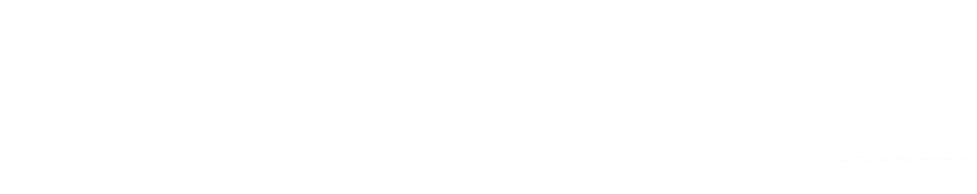 Renanza Realty Inc.